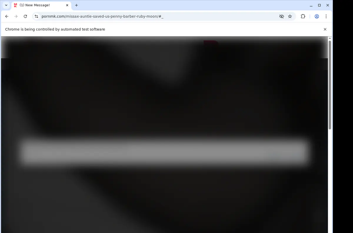 Pornmk Video Downloader screenshot 2