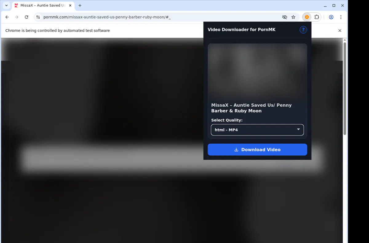 Pornmk Video Downloader screenshot 3