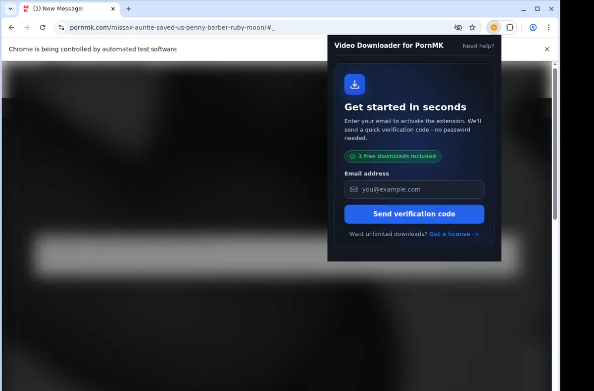 Pornmk Video Downloader screenshot 5